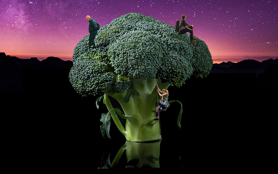 Photo of people climbing a broccoli as if it were a tree.