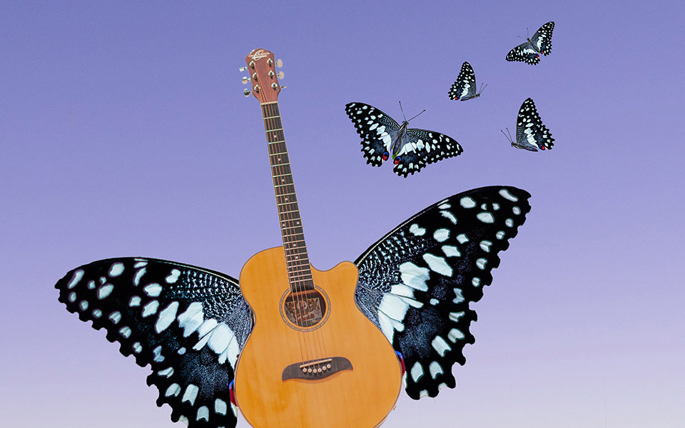 Kuva lentävistä perhosista, joista yhdellä on kitara kroppana.